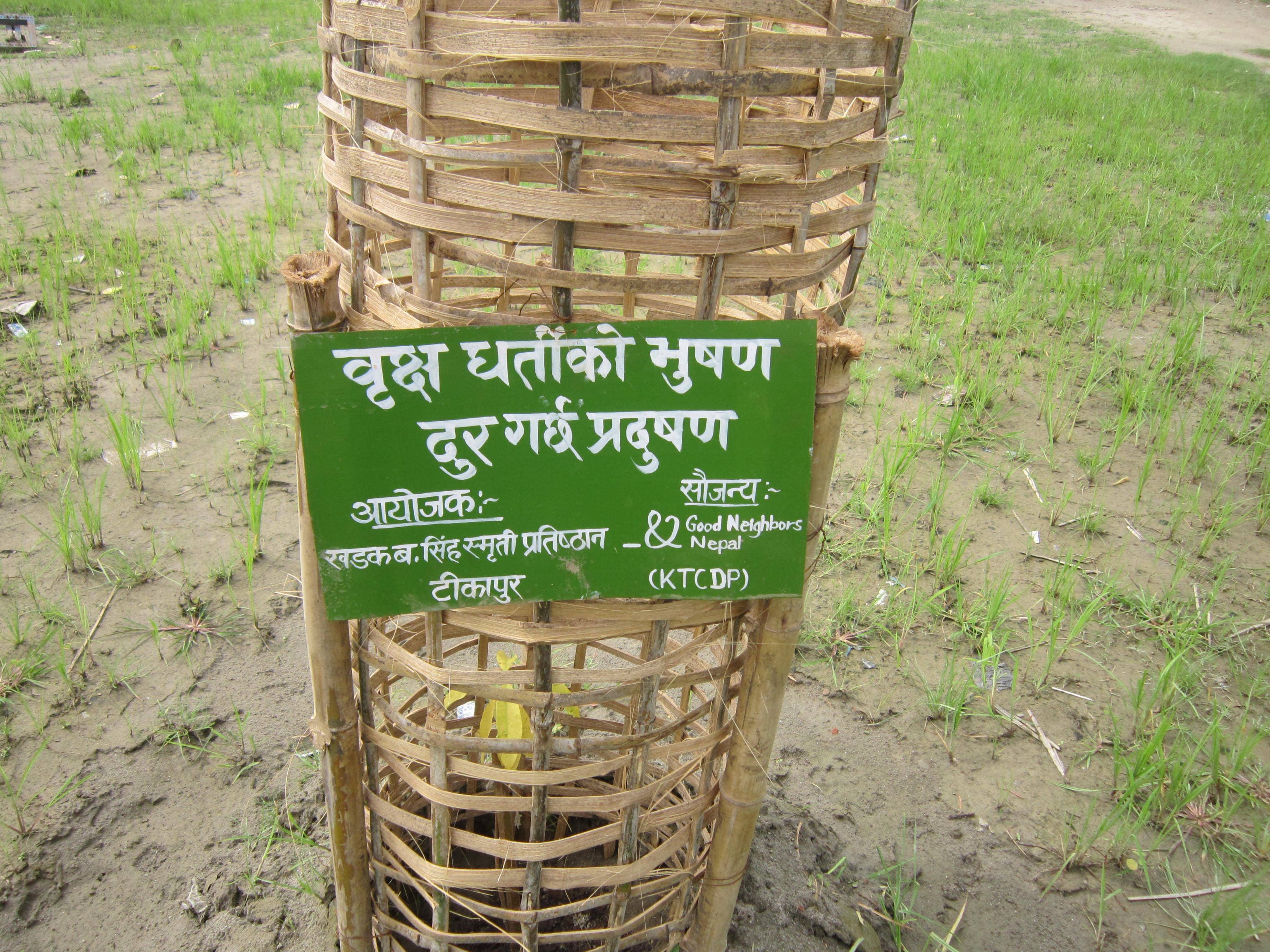 वृक्षारोपण कार्यक्रम(२०७५/०५/०१)